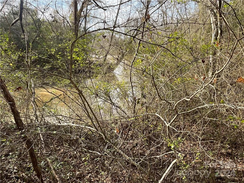 161 Little River Trail - Photo 7