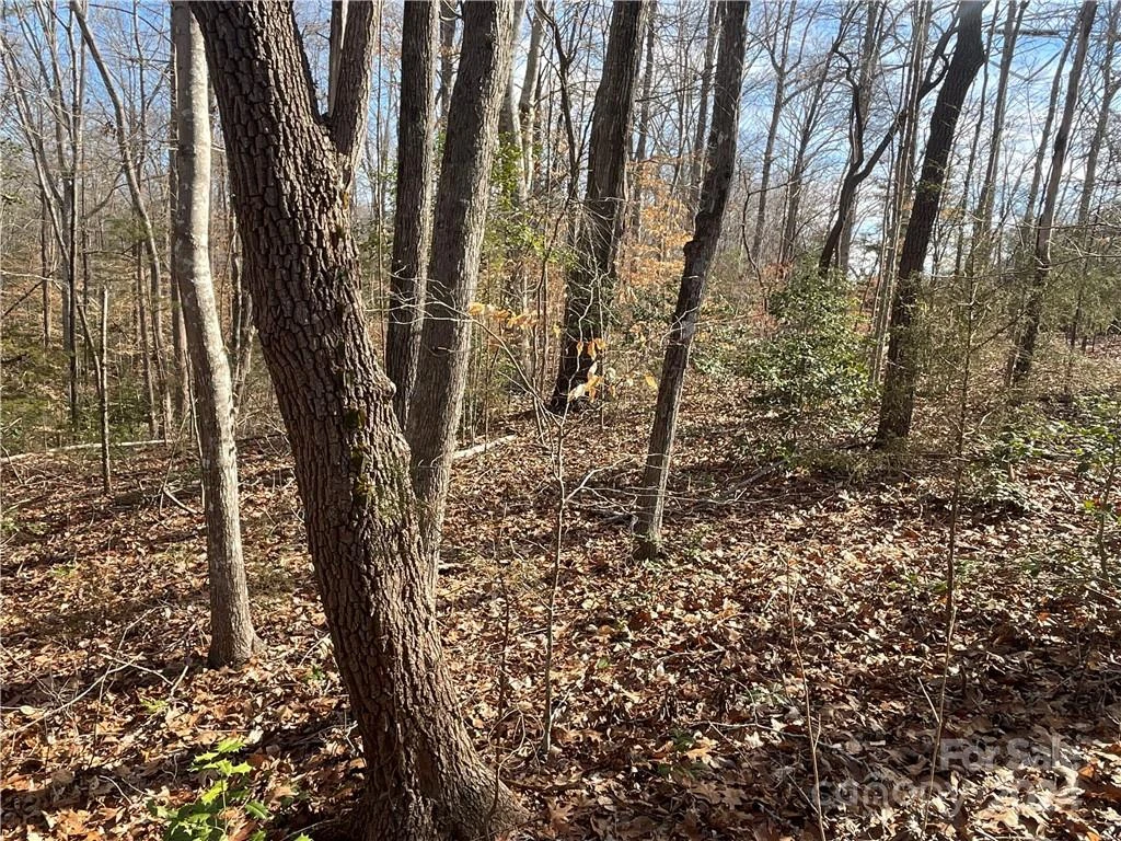 161 Little River Trail - Photo 8