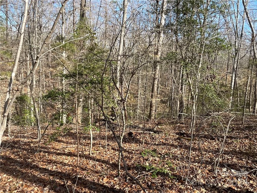 161 Little River Trail - Photo 9