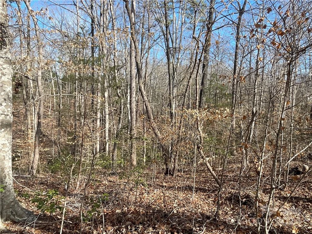 161 Little River Trail - Photo 10