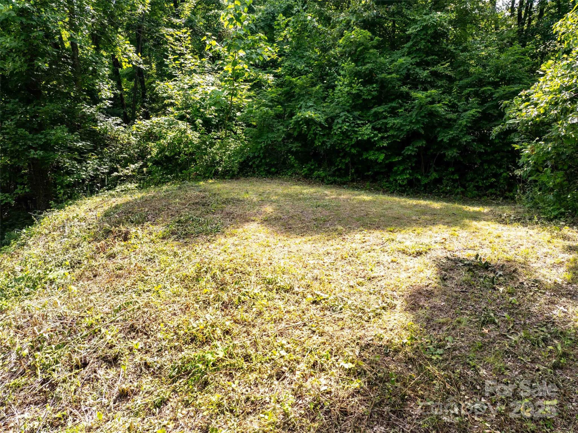 2957 Creston Drive - Photo 2