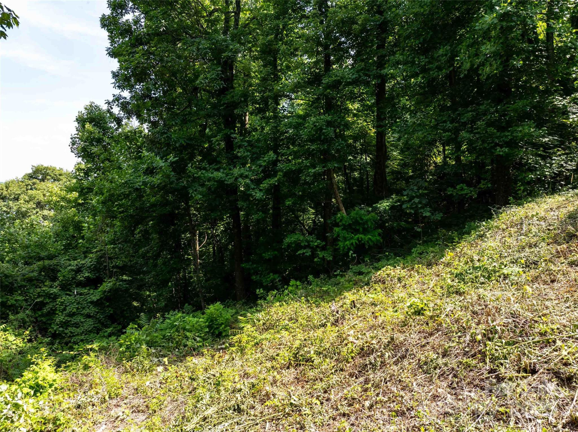 2957 Creston Drive - Photo 19