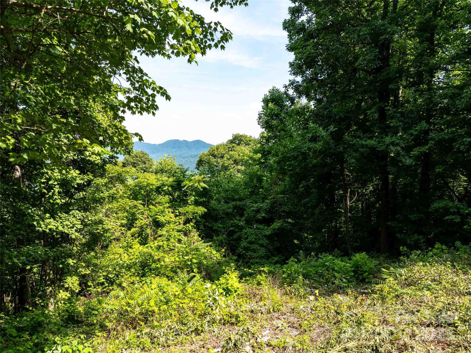 2957 Creston Drive - Photo 3