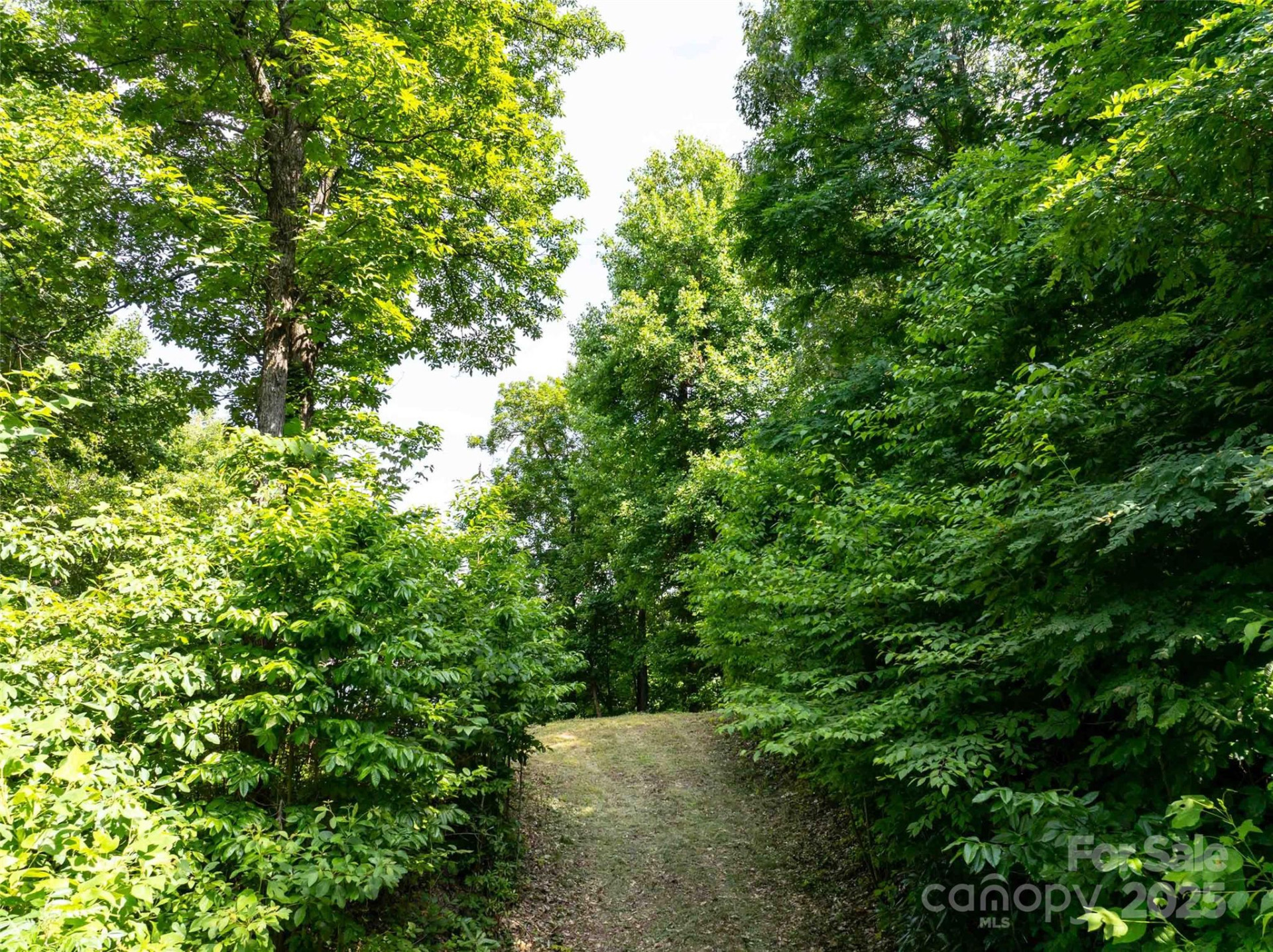 2957 Creston Drive - Photo 23