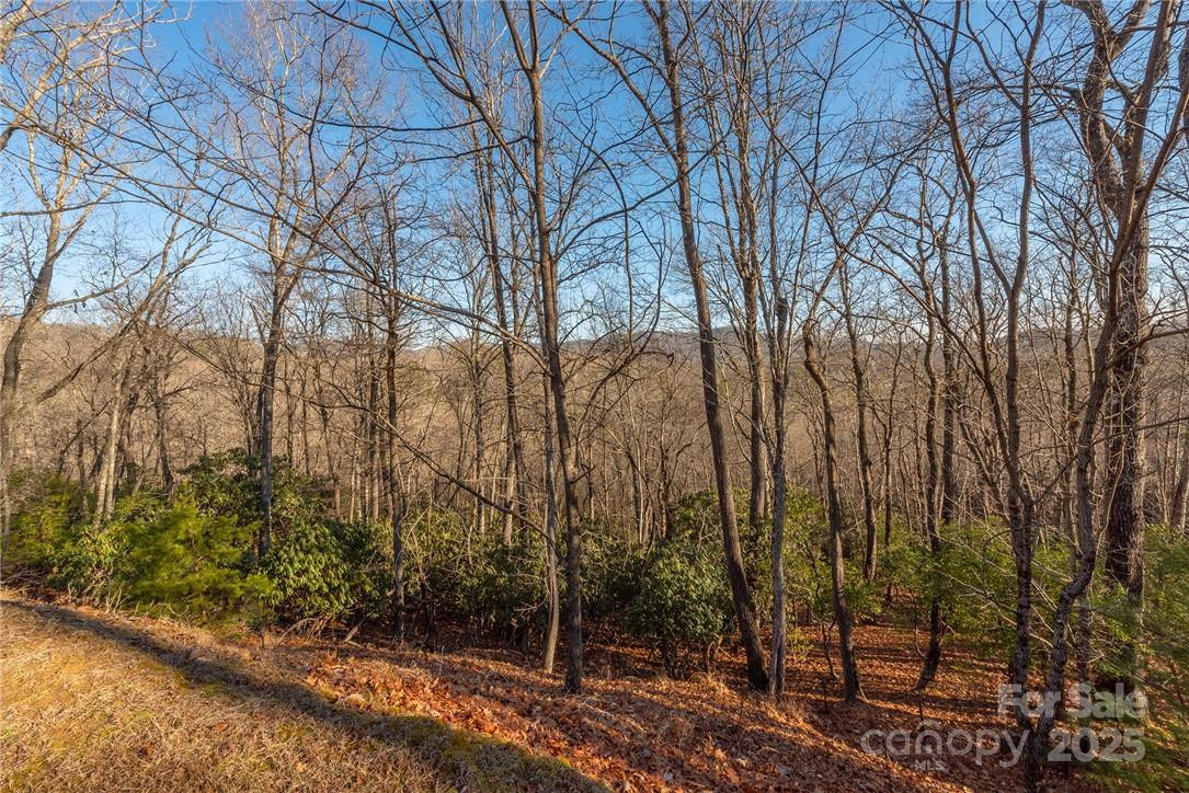 80 Buckhead Trail #27 - Photo 6