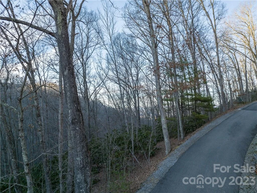 0 Valhalla Cove #2 - Photo 8