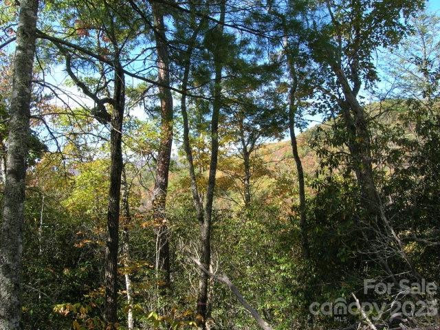 Lot 4 Chimney Top Heights