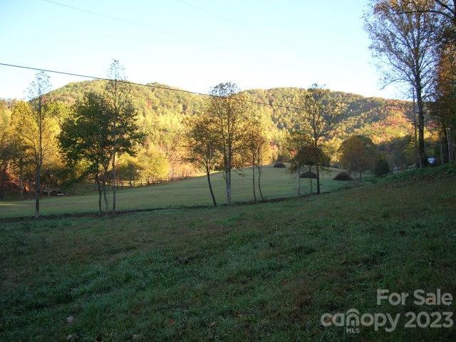 Lot 4 Chimney Top Heights - Photo 2