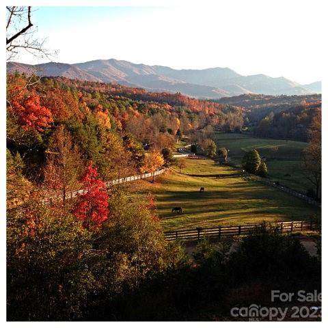 Lot 4 Chimney Top Heights - Photo 3
