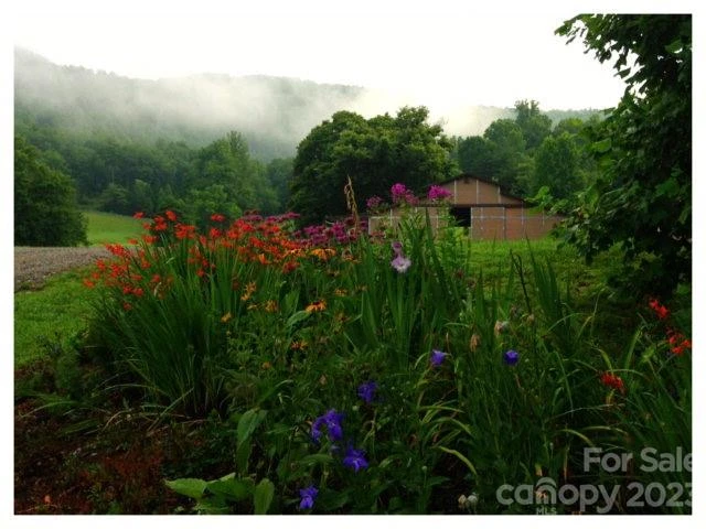 Lot 4 Chimney Top Heights - Photo 4