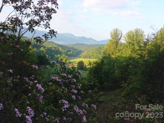 Lot 4 Chimney Top Heights - Photo 9