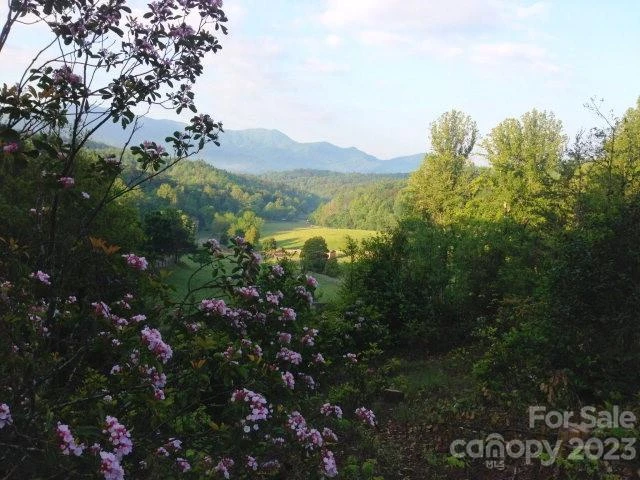 Lot 4 Chimney Top Heights - Photo 9