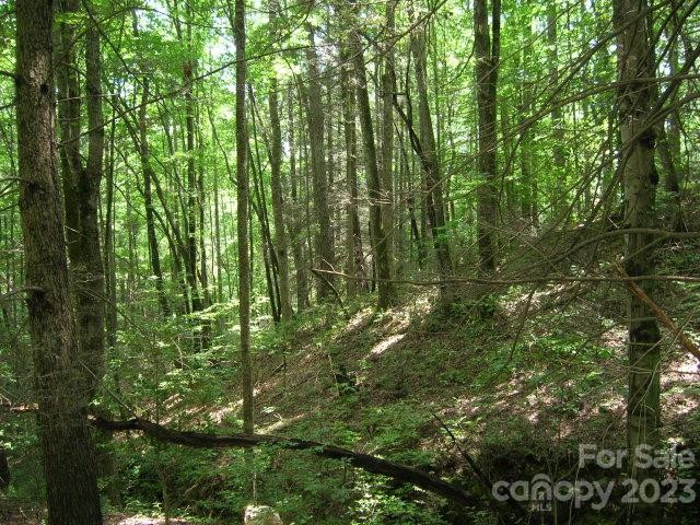 Lot 19 Sunkota Trail