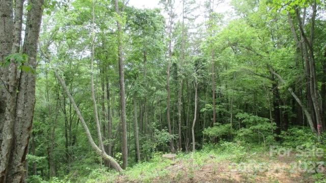 Lot 37 Deeplow Gap None