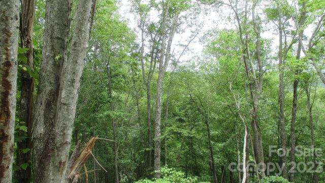 Lot 37 Deeplow Gap None - Photo 2