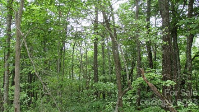 Lot 37 Deeplow Gap None - Photo 3