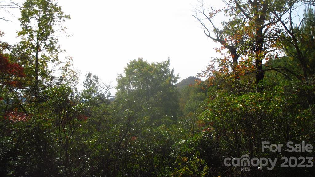 Lot 40 The Knoll None