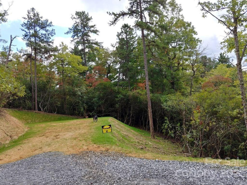 Lot 40 The Knoll None - Photo 3