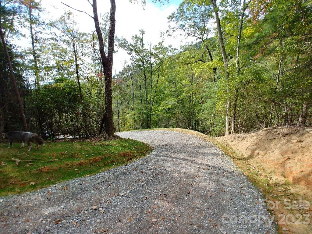 Lot 40 The Knoll None - Photo 4