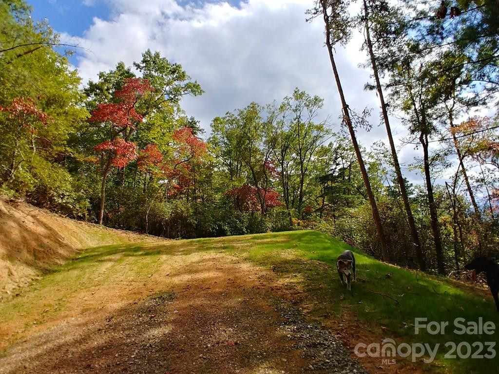 Lot 42 The Knoll None - Photo 2