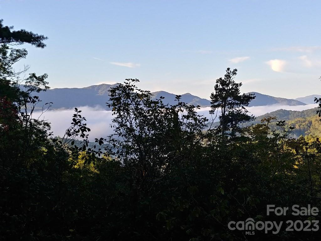 Lot 42 The Knoll None - Photo 3