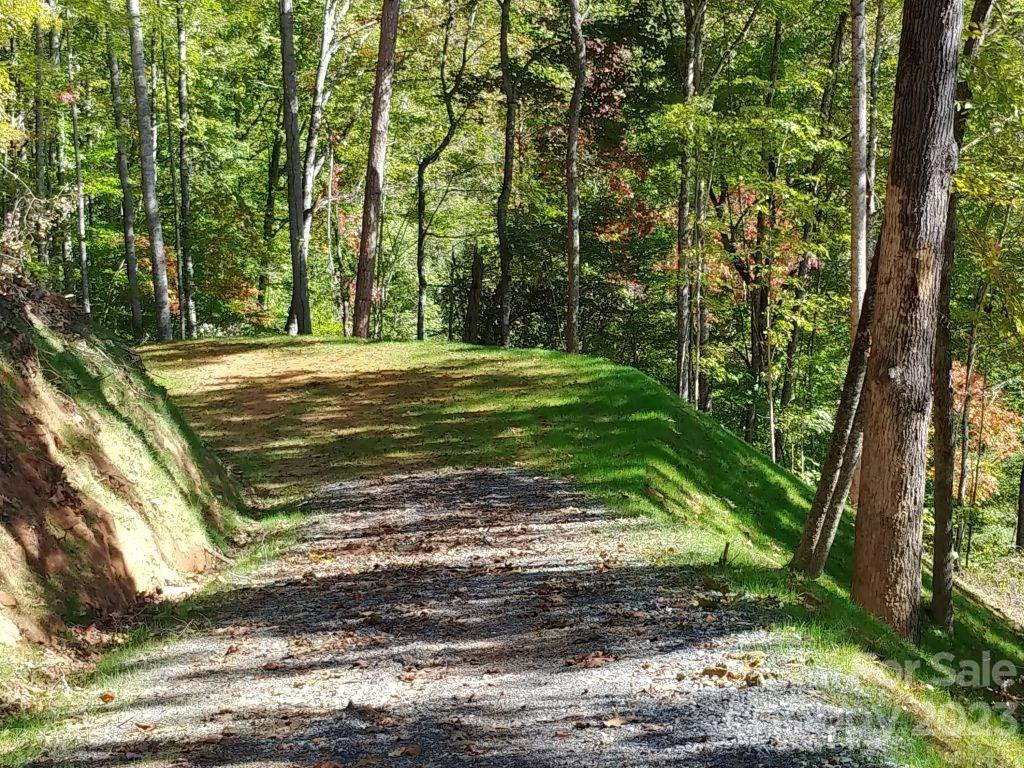 Lot 45 Thomas Divide Way - Photo 2