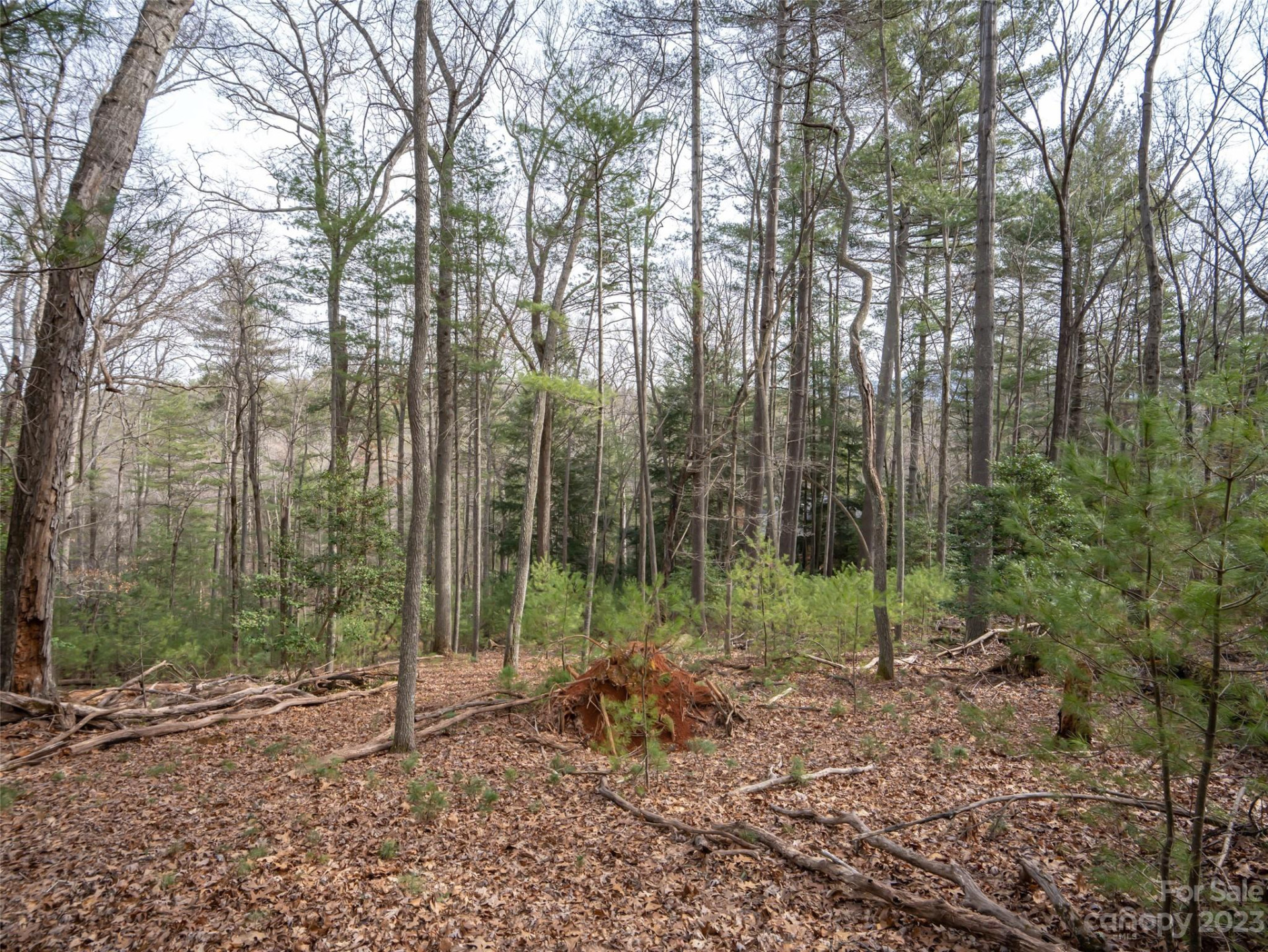 9999 Cedar Hill Drive #12 - Photo 13