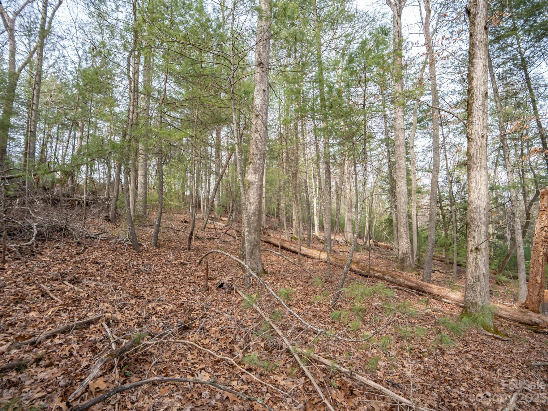 9999 Cedar Hill Drive #12 - Photo 14