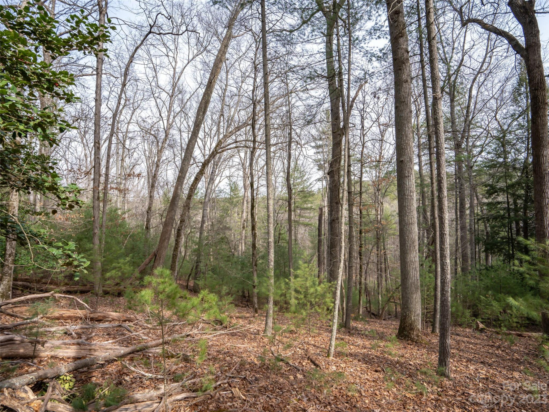 9999 Cedar Hill Drive #12 - Photo 15