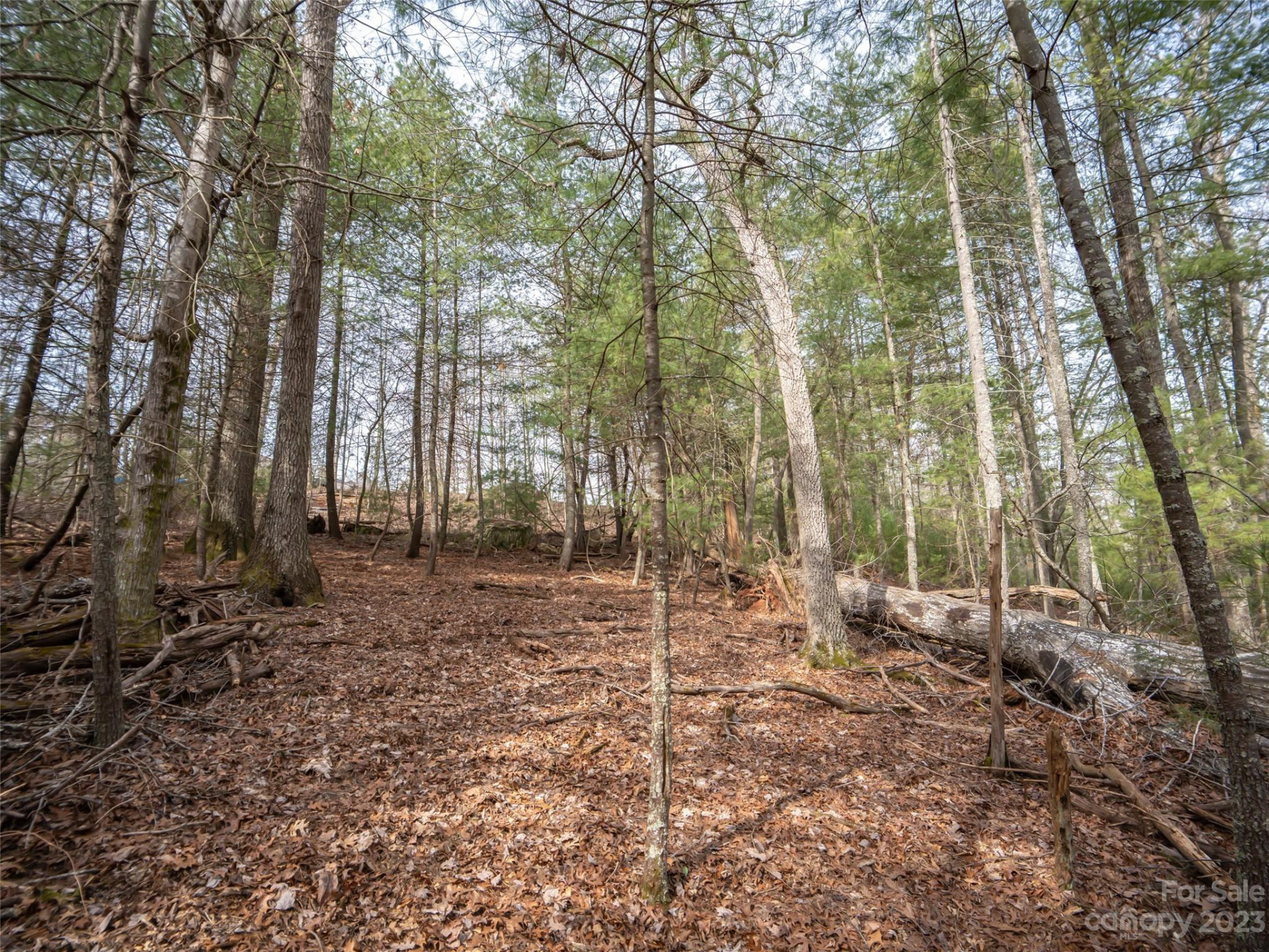 9999 Cedar Hill Drive #12 - Photo 16