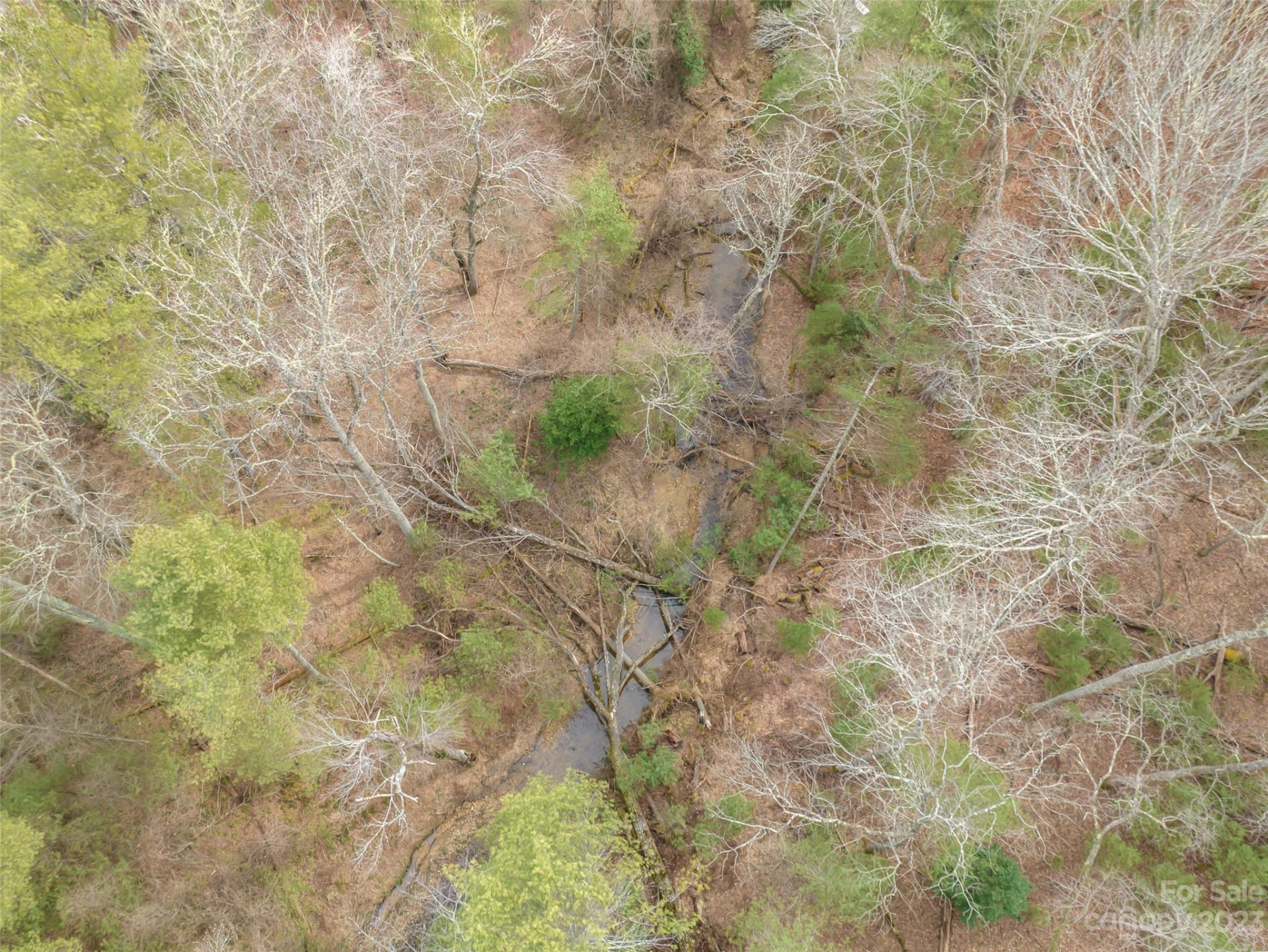 9999 Cedar Hill Drive #12 - Photo 22