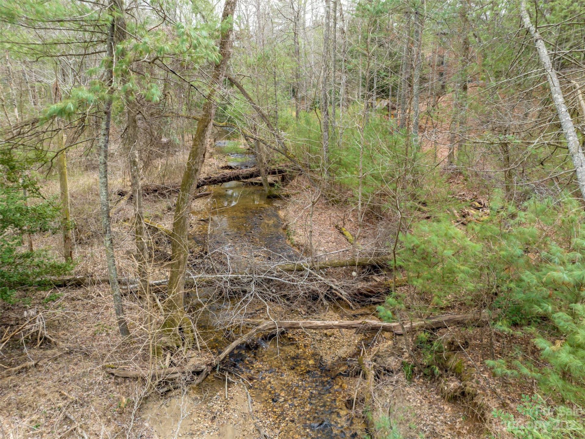 9999 Cedar Hill Drive #12 - Photo 24