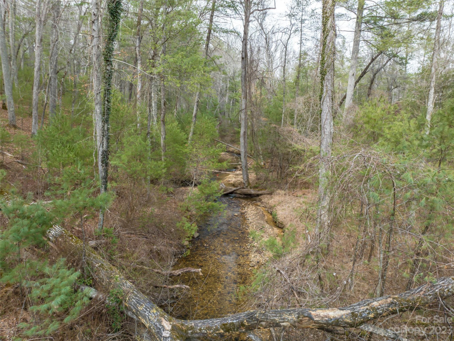 9999 Cedar Hill Drive #12 - Photo 25