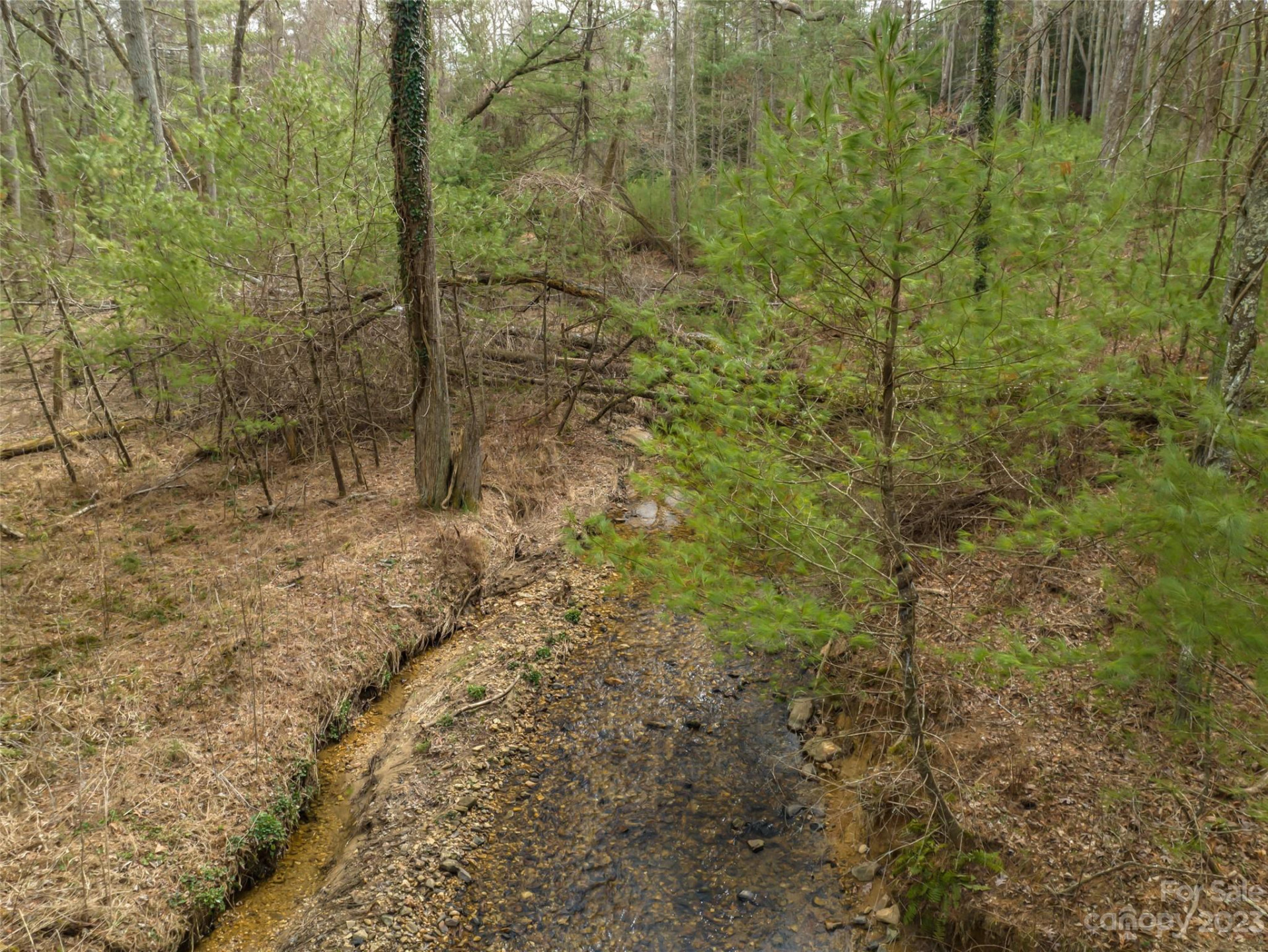 9999 Cedar Hill Drive #12 - Photo 27