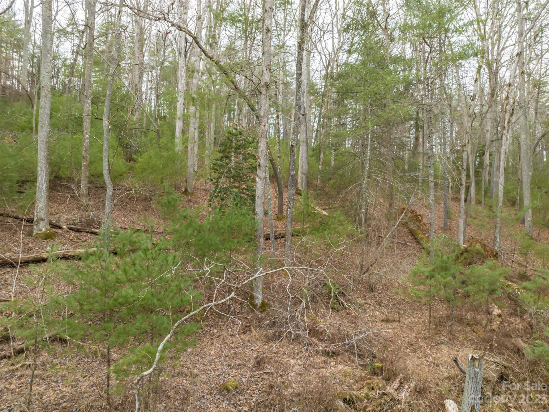 9999 Cedar Hill Drive #12 - Photo 29