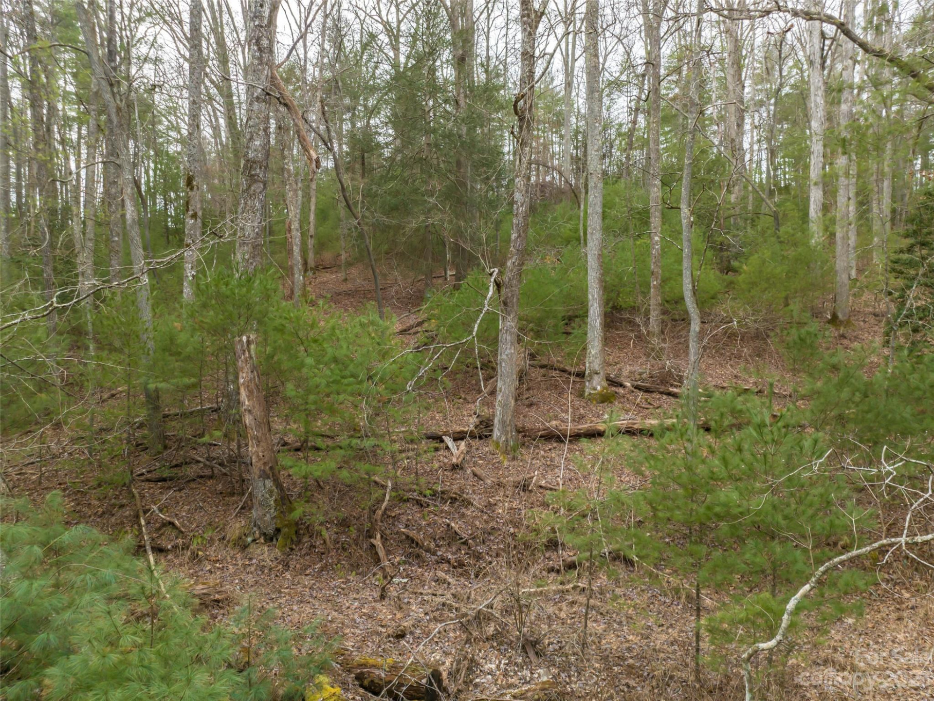 9999 Cedar Hill Drive #12 - Photo 30