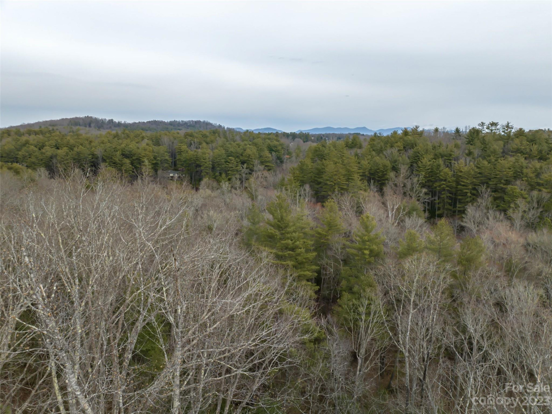 9999 Cedar Hill Drive #12 - Photo 32