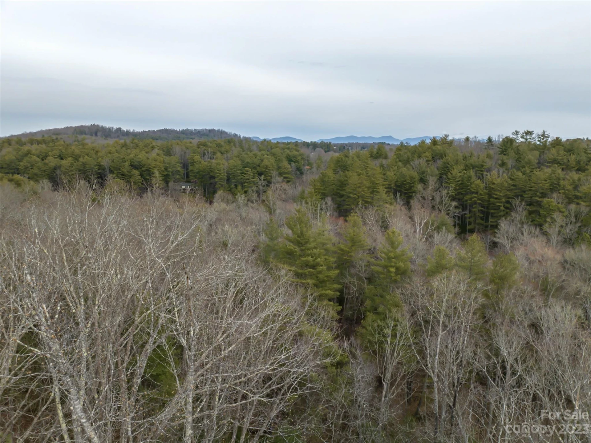 9999 Cedar Hill Drive #12 - Photo 32