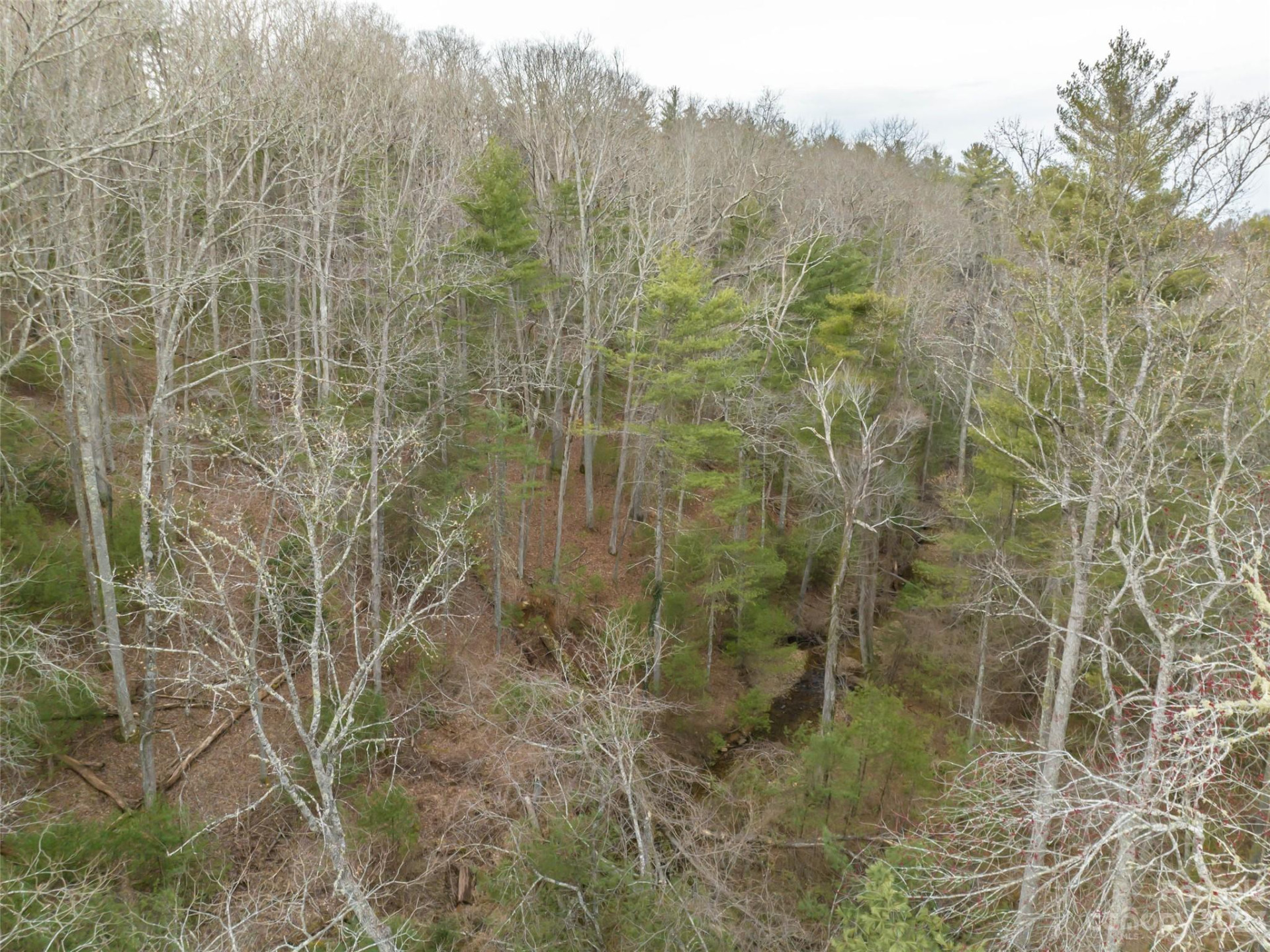 9999 Cedar Hill Drive #12 - Photo 33