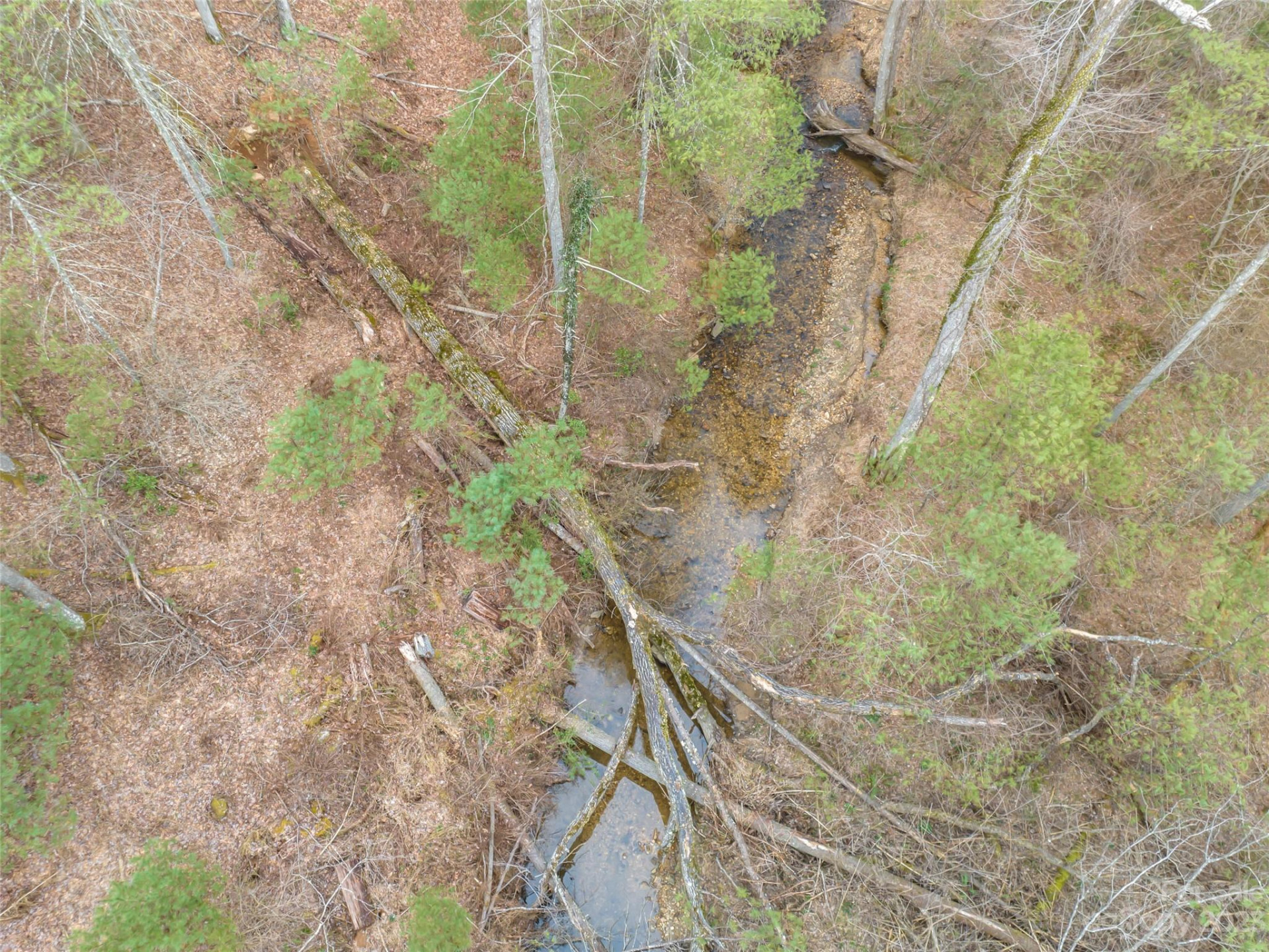 9999 Cedar Hill Drive #12 - Photo 34