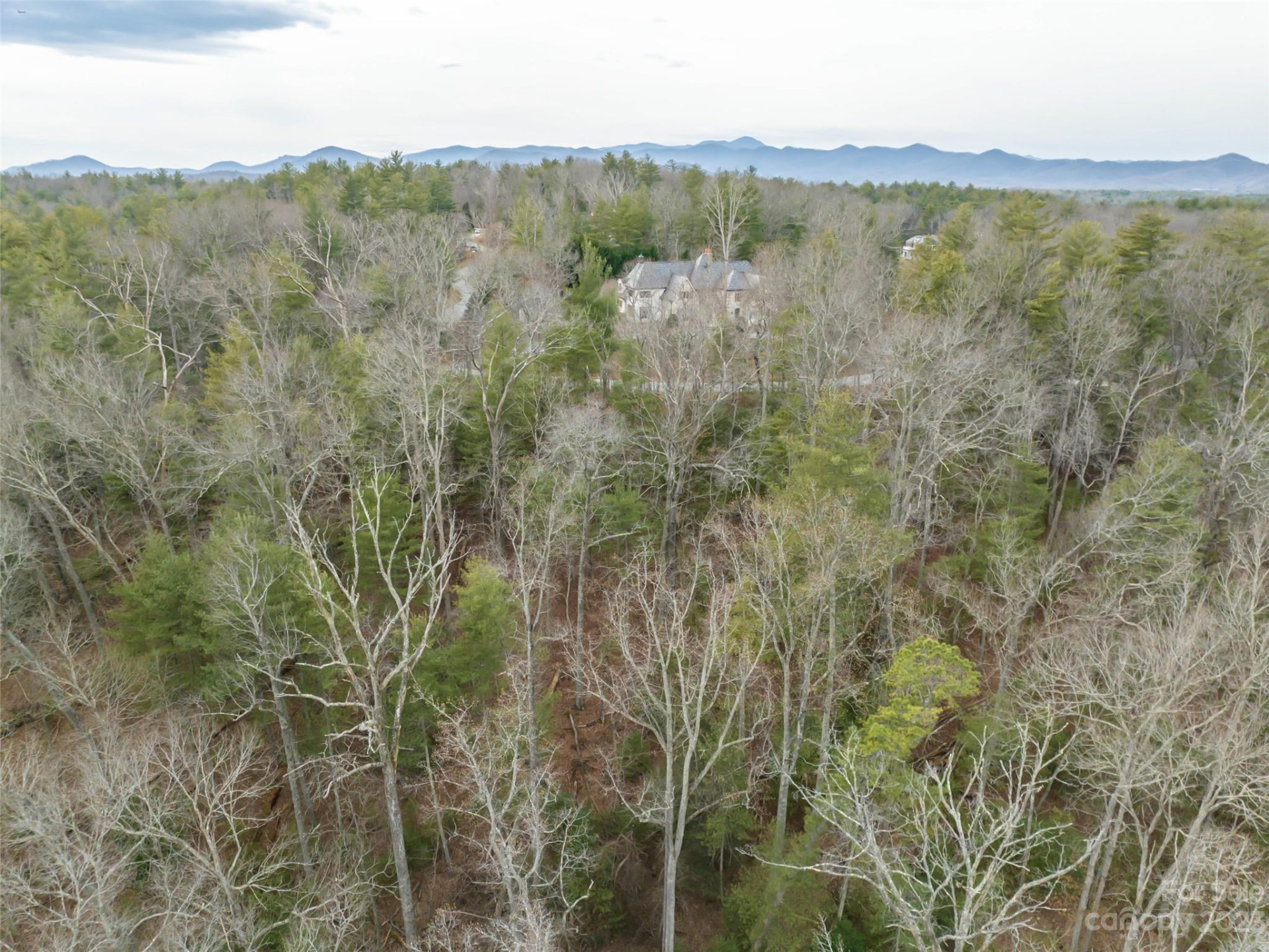 9999 Cedar Hill Drive #12 - Photo 36