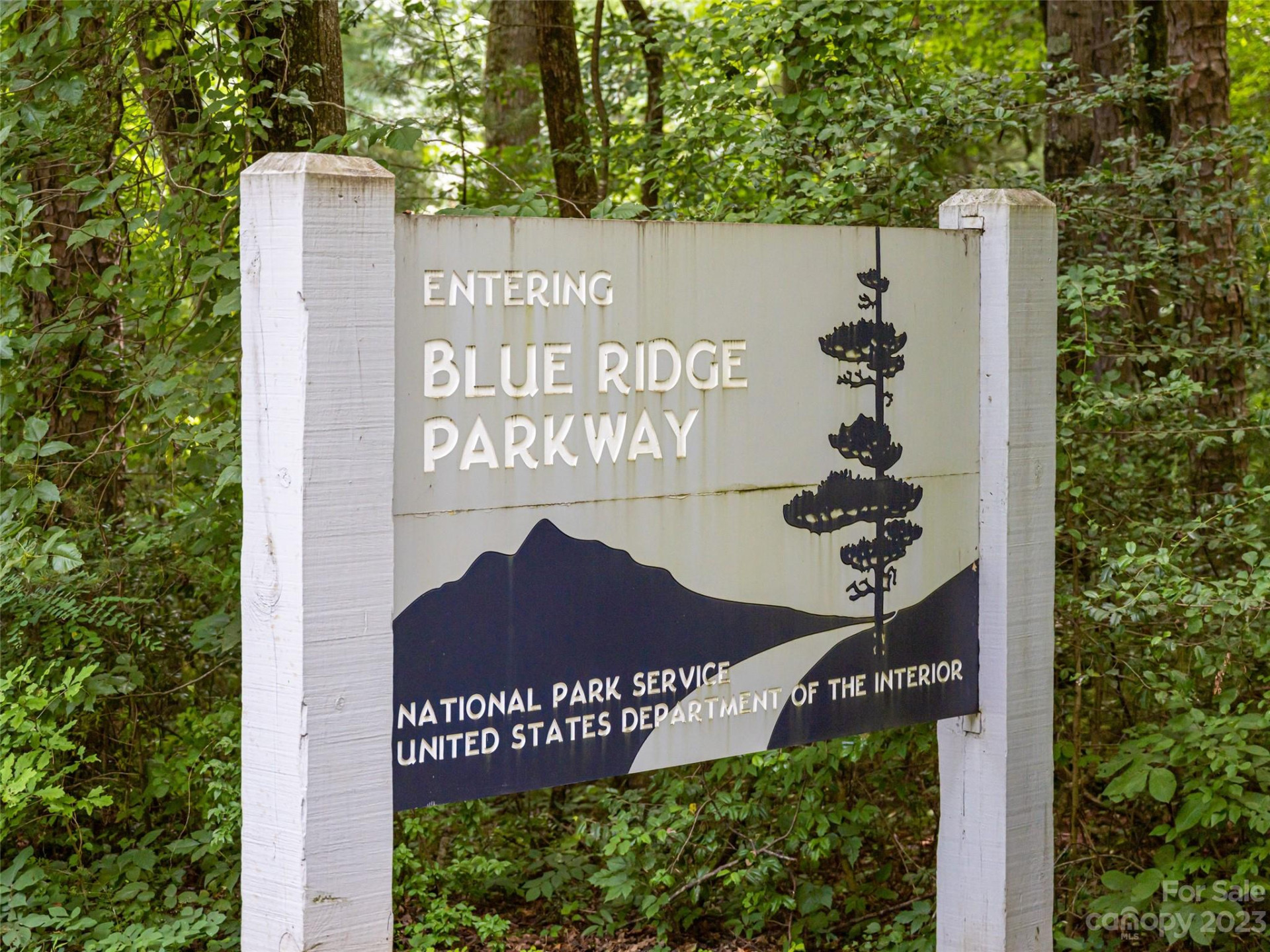 9999 Cedar Hill Drive #12 - Photo 43