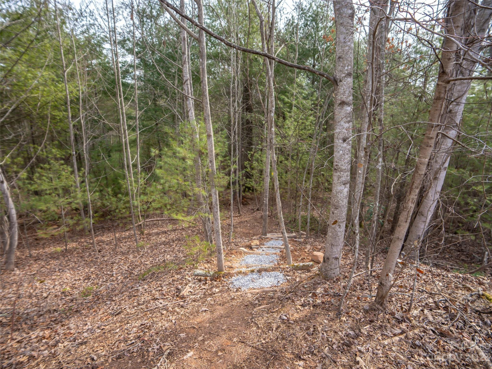 9999 Cedar Hill Drive #12 - Photo 6