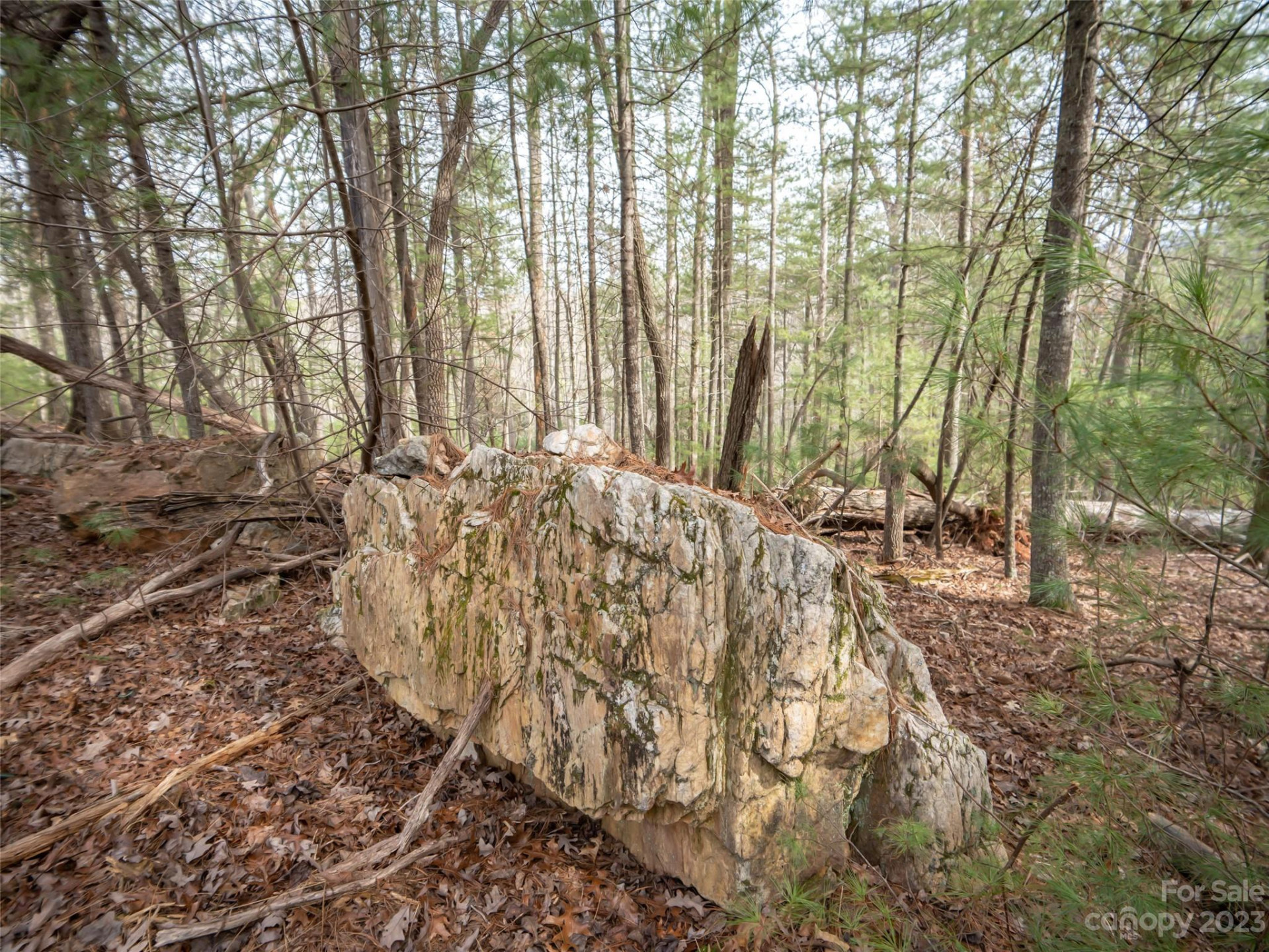 9999 Cedar Hill Drive #12 - Photo 7