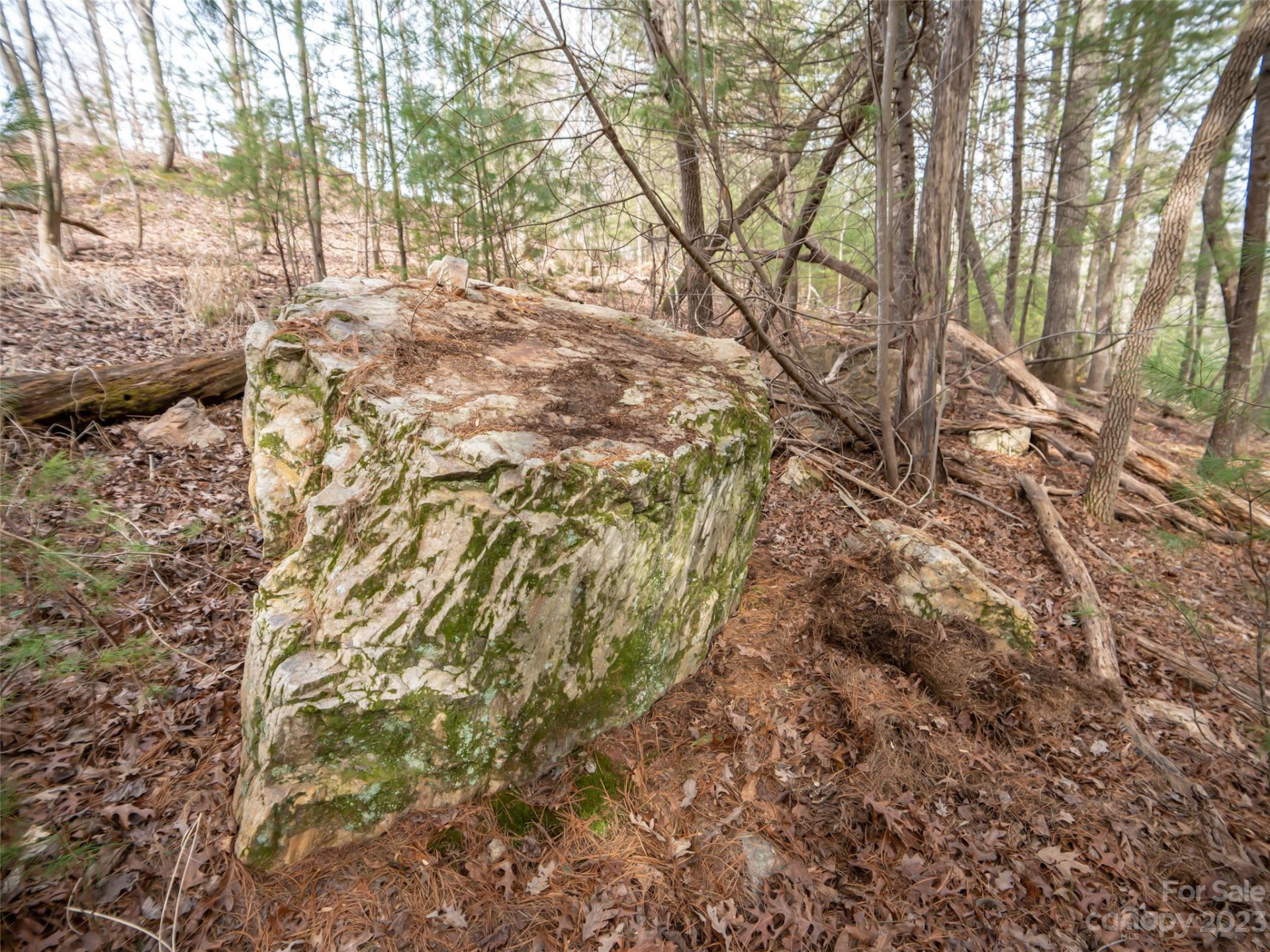 9999 Cedar Hill Drive #12 - Photo 8