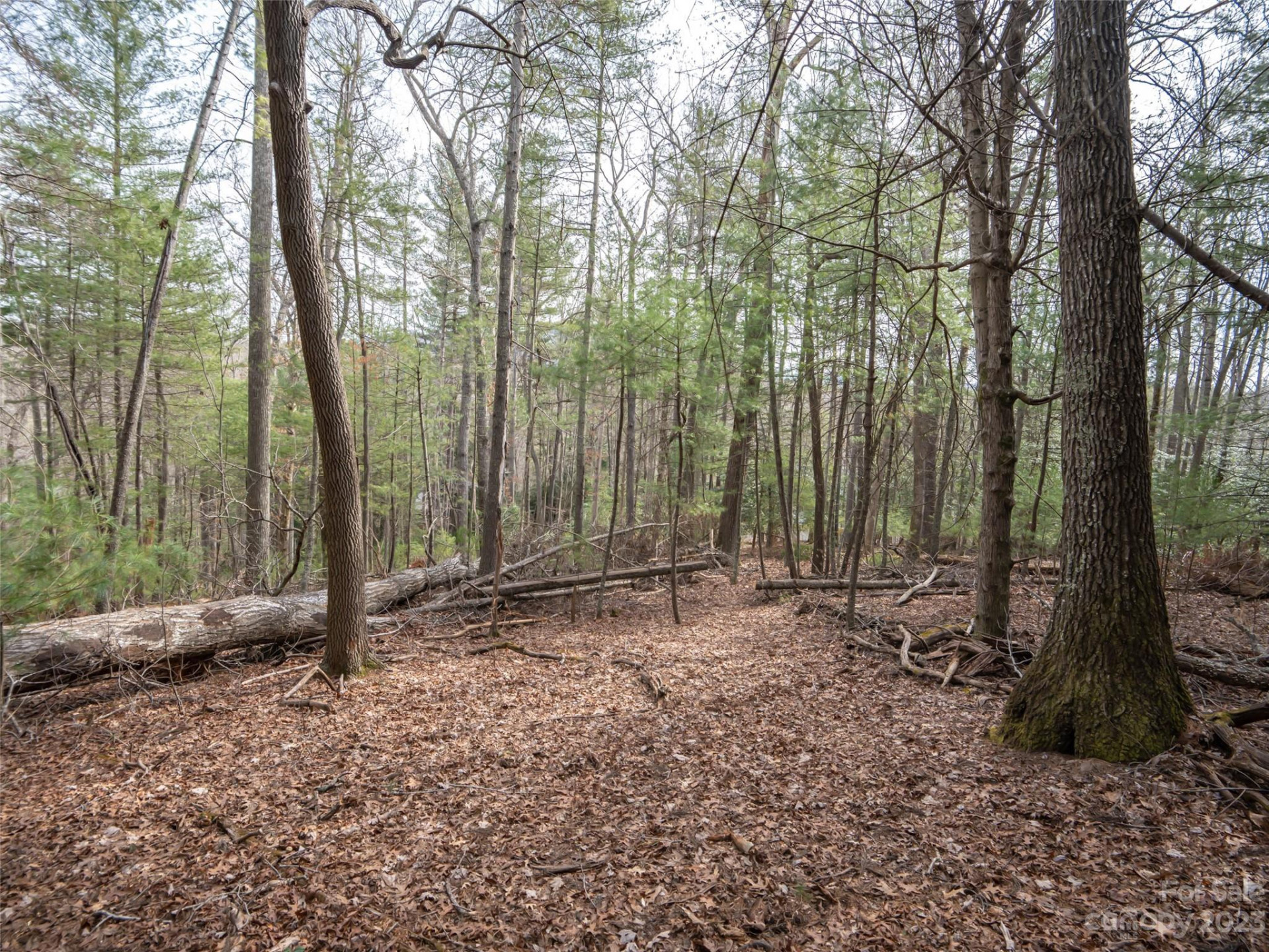 9999 Cedar Hill Drive #12 - Photo 9