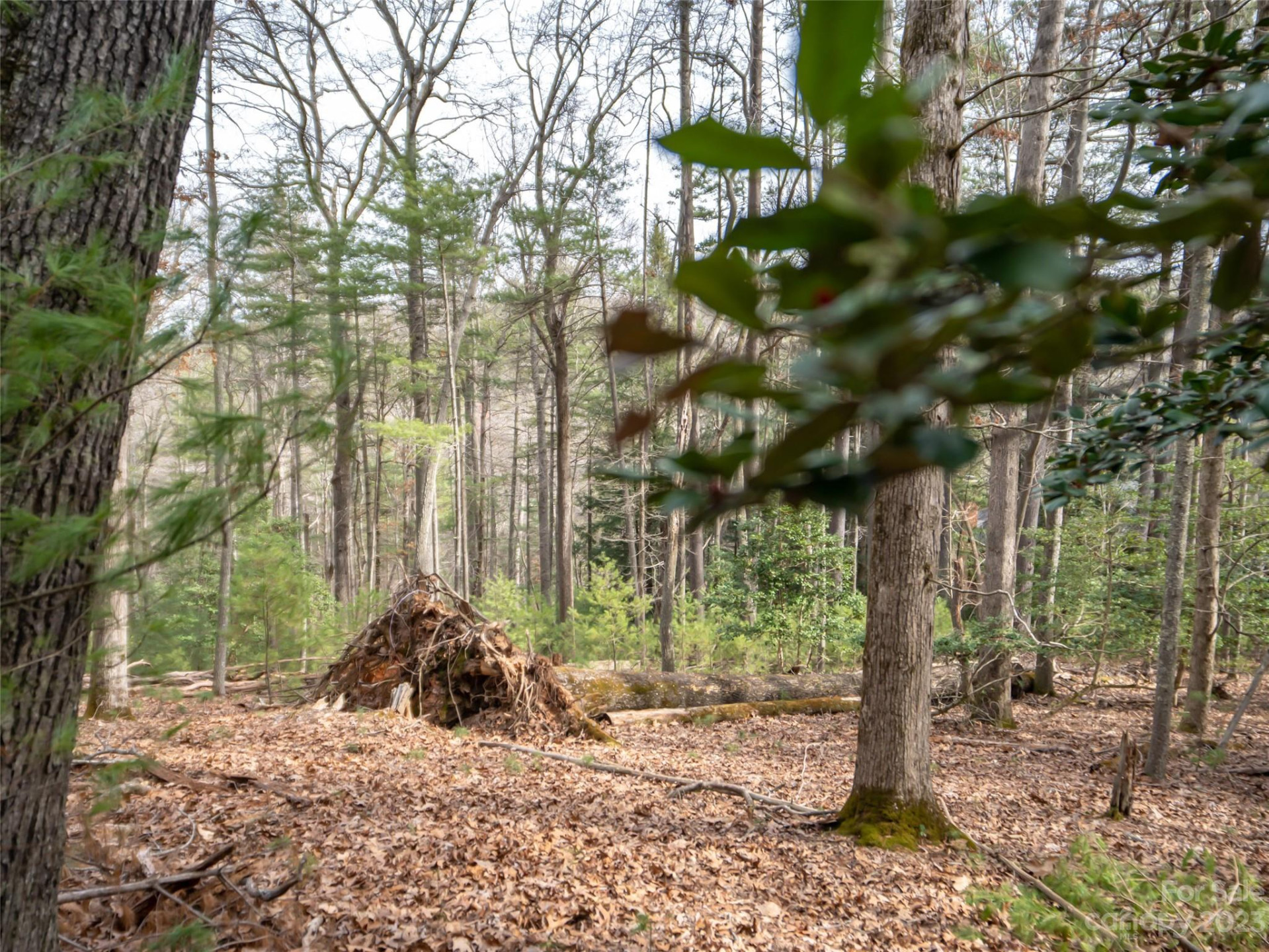 9999 Cedar Hill Drive #12 - Photo 10