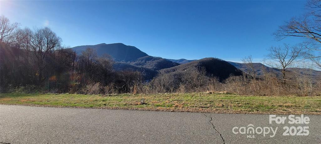 37 Rons Ridge - Photo 3