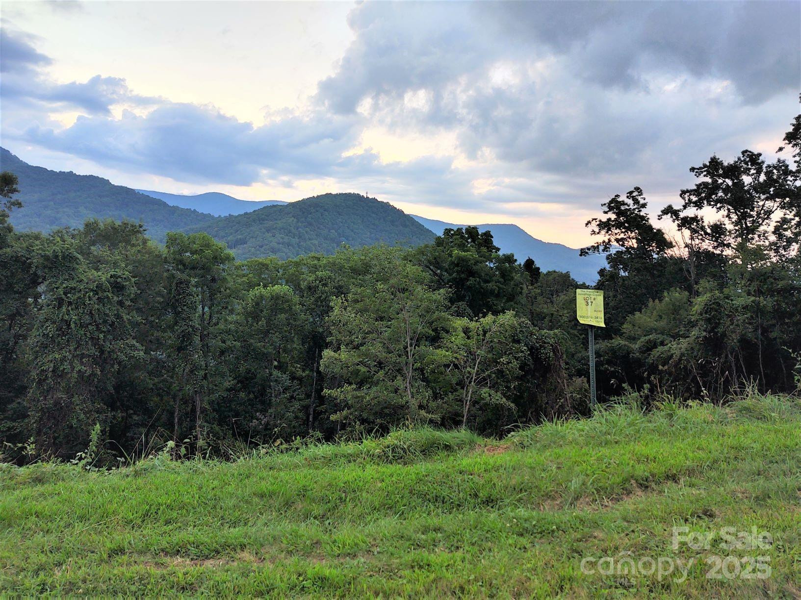 37 Rons Ridge - Photo 4