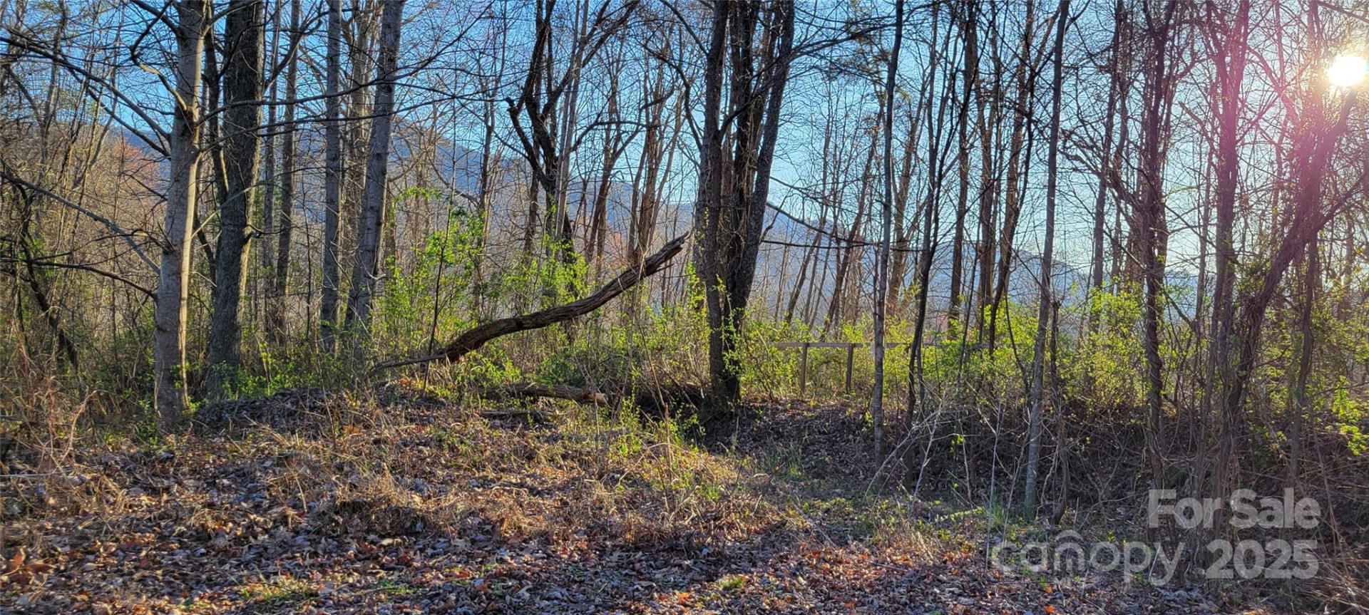 40 Rons Ridge - Photo 2